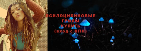 СК Волосово