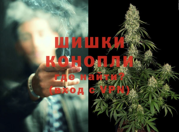 шишки Волоколамск