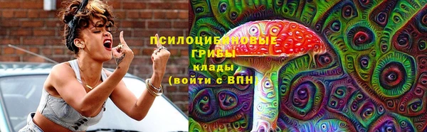 мдпв Володарск