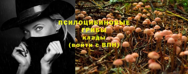 СК Волосово