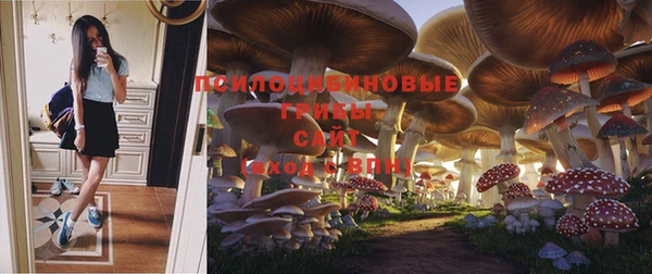 шишки Волоколамск