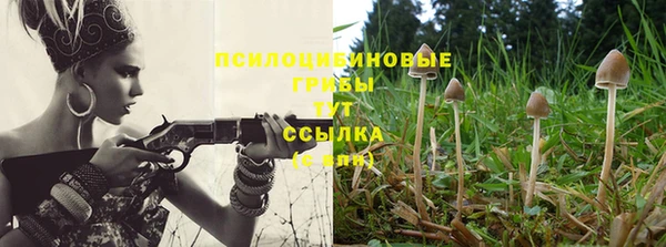 шишки Волоколамск